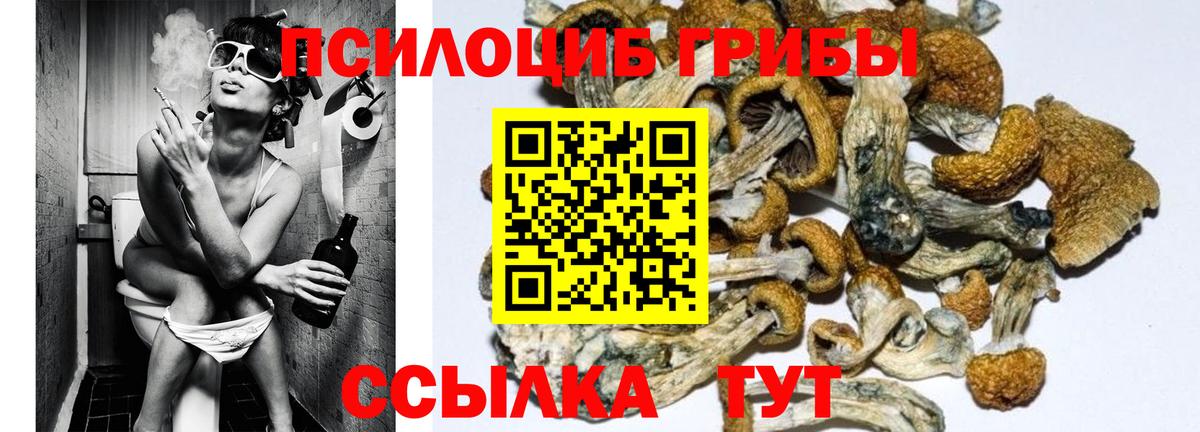 Псилоцибиновые грибы Magic Shrooms Шебекино